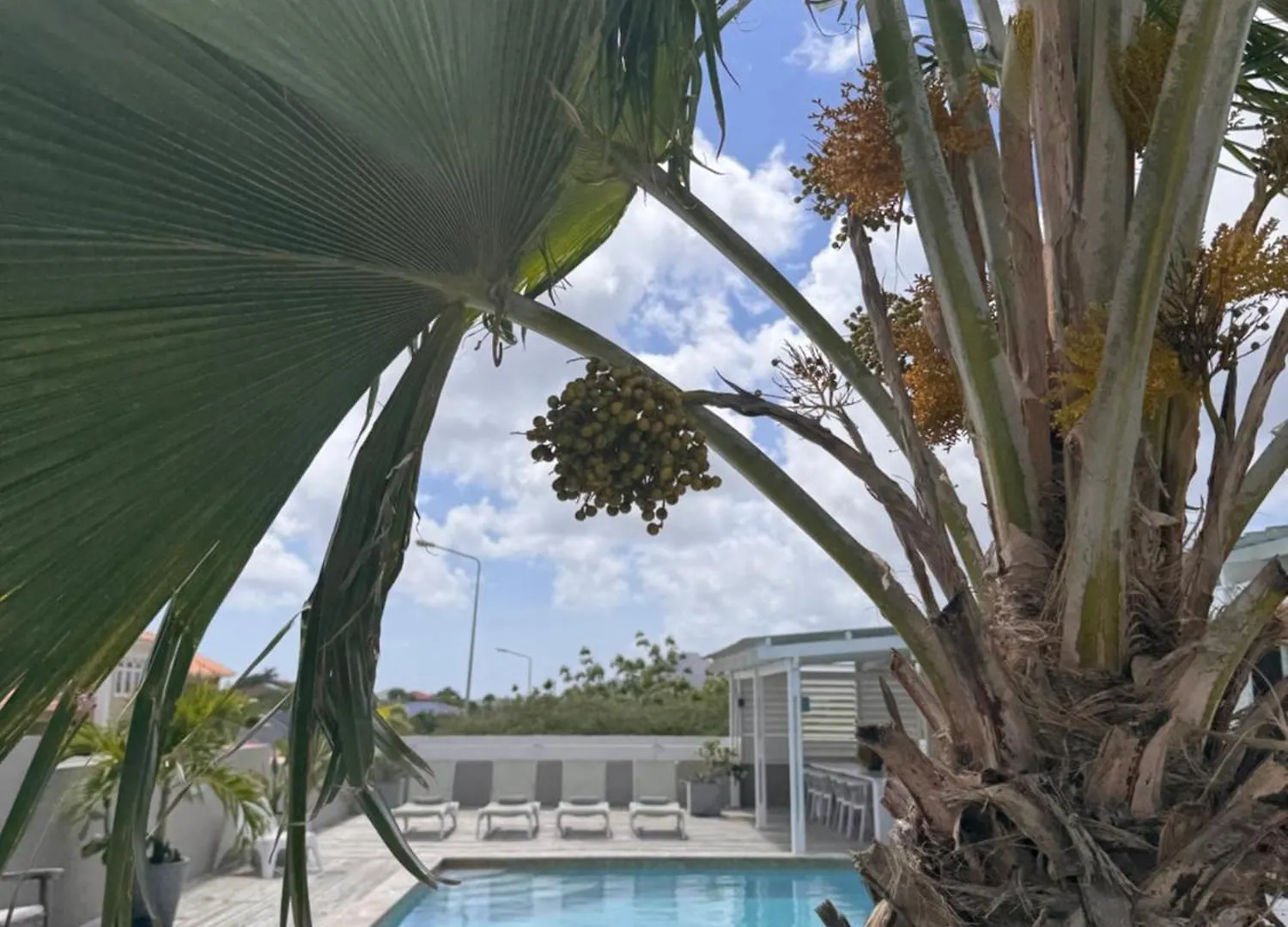 **** Bed & Breakfast Boutique Hotel & Apartments Jt Curacao Willemstad Curaçao