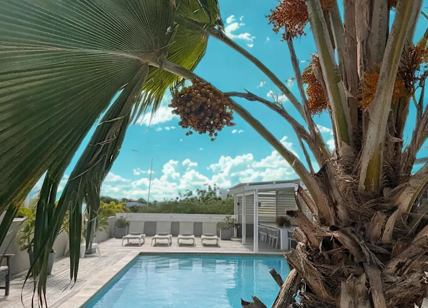 Boutique Hotel & Apartments Jt Curacao Willemstad Bed & Breakfast
